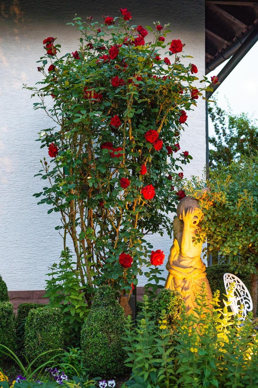 Hotel Haus Buena Vista à Bad Kissingen Extérieur photo